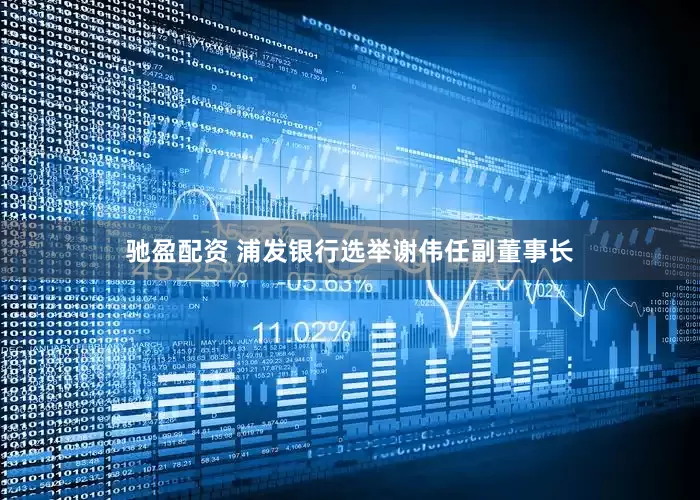 驰盈配资 浦发银行选举谢伟任副董事长